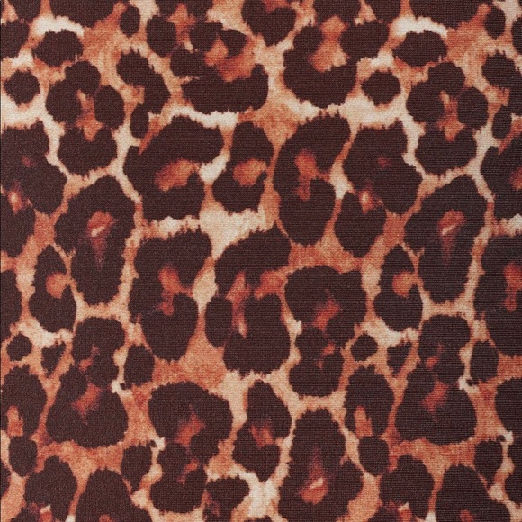 Tropic of C Cheetah Leopard bikini one piece Mama Africa Nala swimsuit - Picture 9 of 9